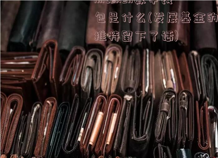 imtoken数字钱包是什么(发展基金的推特留下了话)