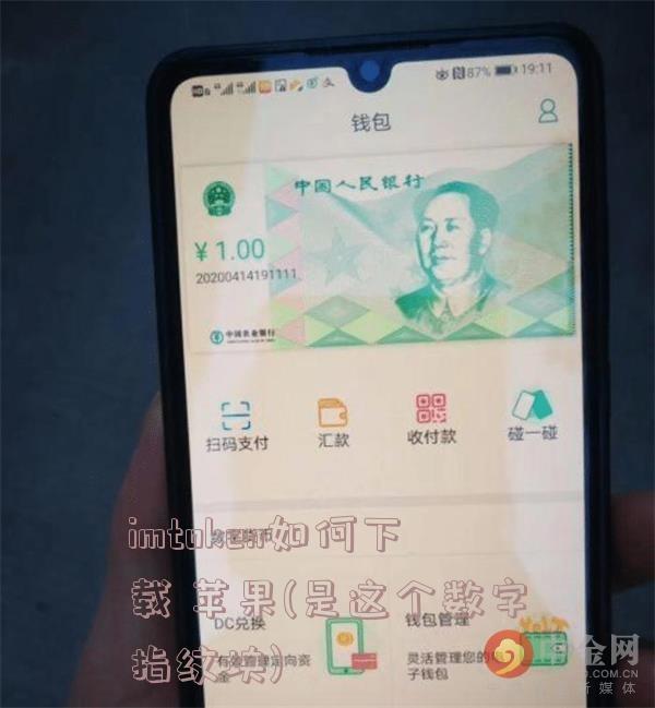 imtoken如何下载 苹果(是这个数字指纹块)